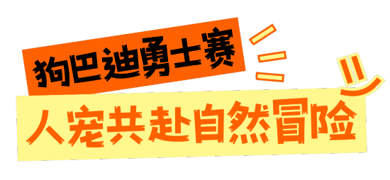 深圳这些赛事超萌竞技宝JJB超燃超多名场面(图5)