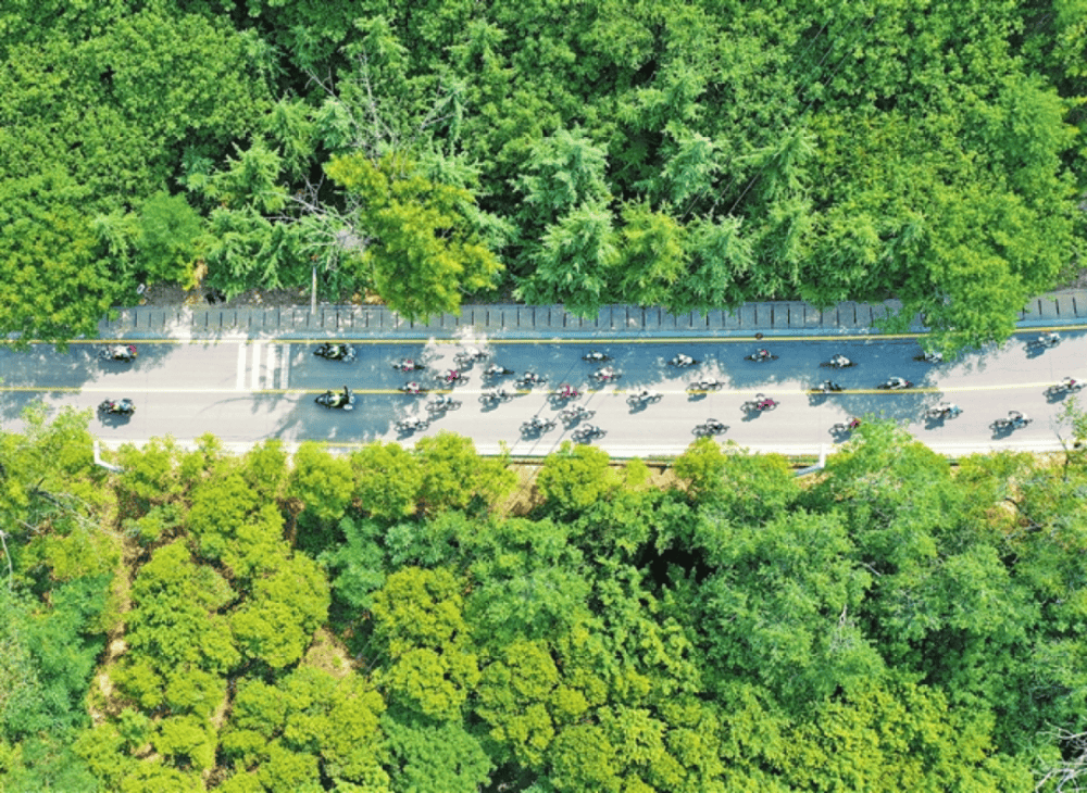 竞技宝JJB在际C级赛事 “国台杯”2025沿黄国际自行车赛5月17日开赛(图3)